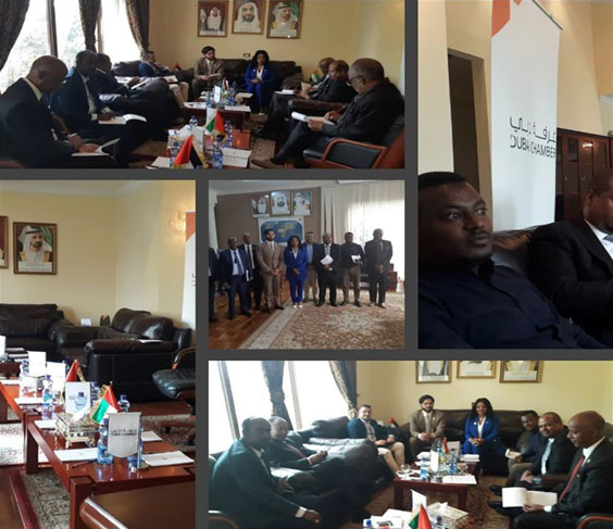إنشاء مجلس الأعمال الاستشاري الإماراتي الإثيوبي
